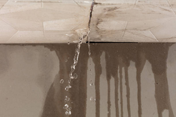 Professional Structural Drying technician working in Natalia, TX